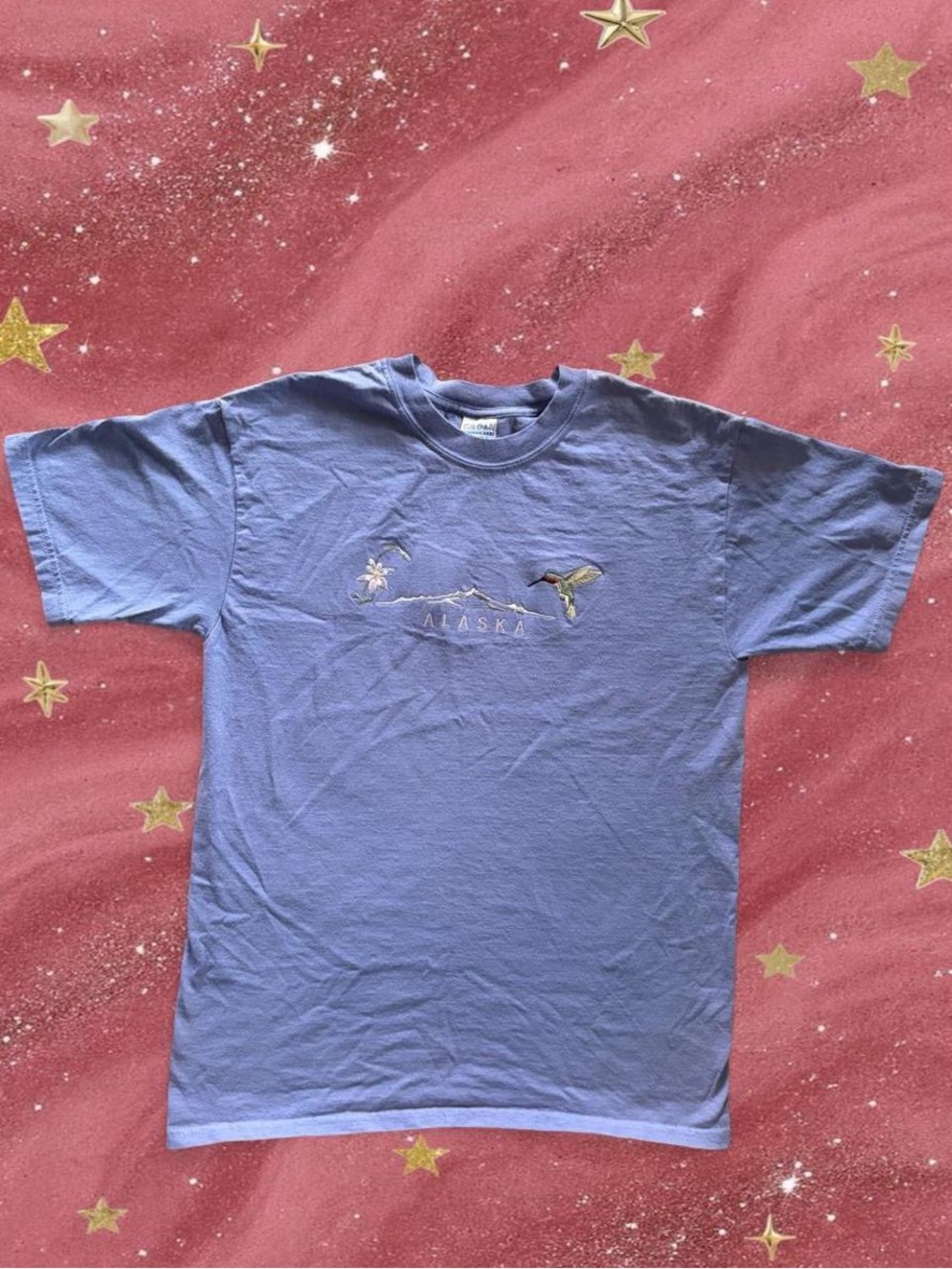 Alaska Embroidered Graphic Tee - Blue